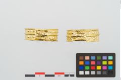 Foto von Goldkopfschmuckringe (NHMW-PRAE-026830)